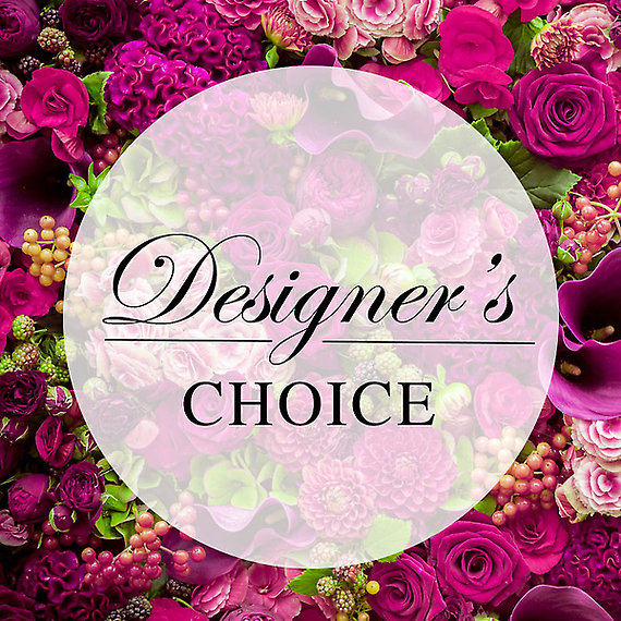 Designer\'s Choice